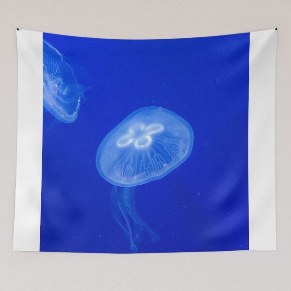 Item preview, Jellyfish designed and sold by marisaj4488.