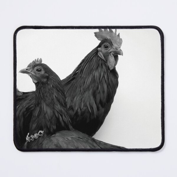 Item preview, Pair of all black chickens designed and sold by Daniel Tuttle.