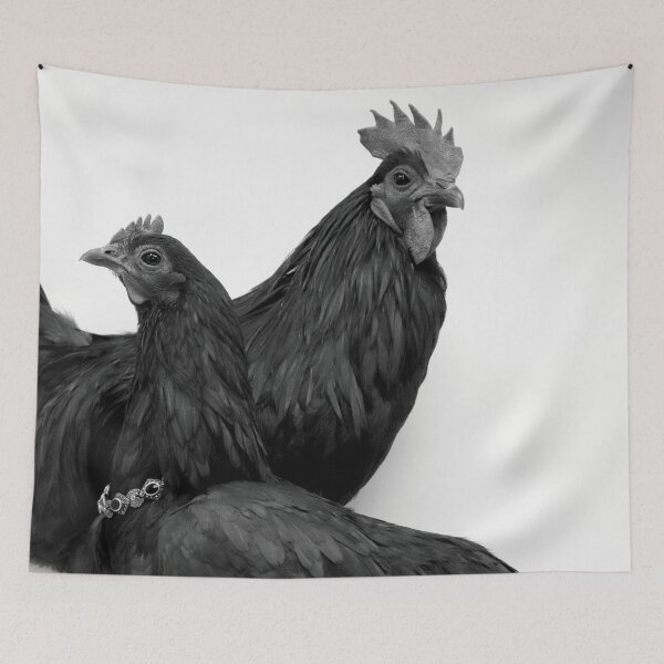 Item preview, Pair of all black chickens designed and sold by Daniel Tuttle.