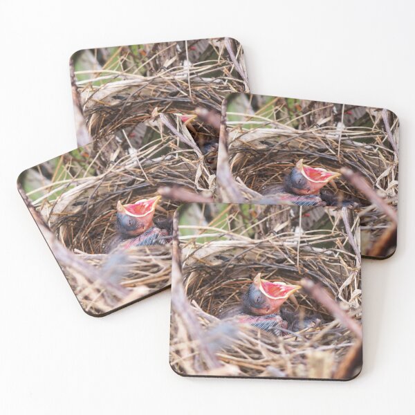 Item preview, Hungry Baby Northern Cardinal In Its Nest With Its Mouth Wide Opened designed and sold by BackyardBirder.