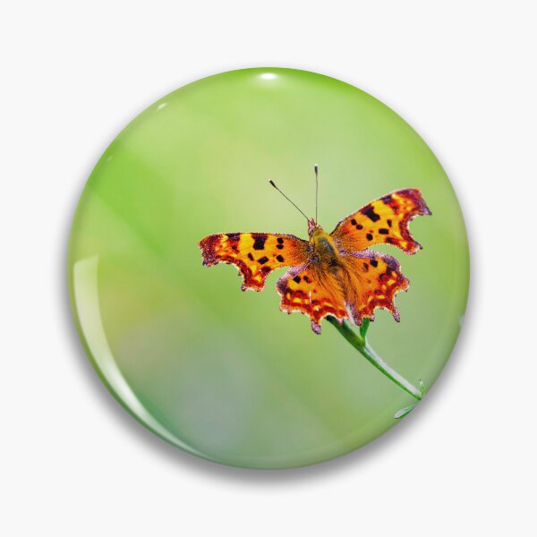 Item preview, Butterfly posters art prints t-shirts phone cases mugs etc designed and sold by craigewmcg123.