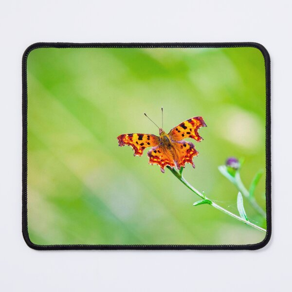 Item preview, Butterfly posters art prints t-shirts phone cases mugs etc designed and sold by craigewmcg123.