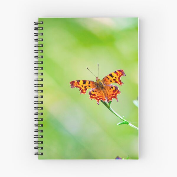 Item preview, Butterfly posters art prints t-shirts phone cases mugs etc designed and sold by craigewmcg123.