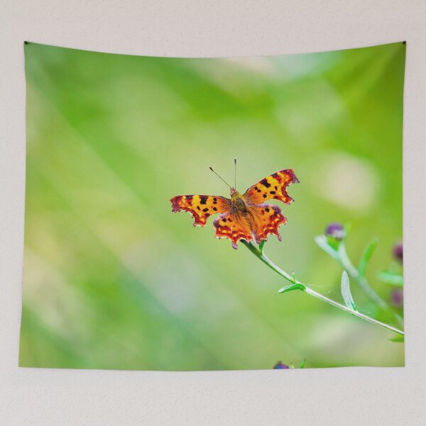 Item preview, Butterfly posters art prints t-shirts phone cases mugs etc designed and sold by craigewmcg123.