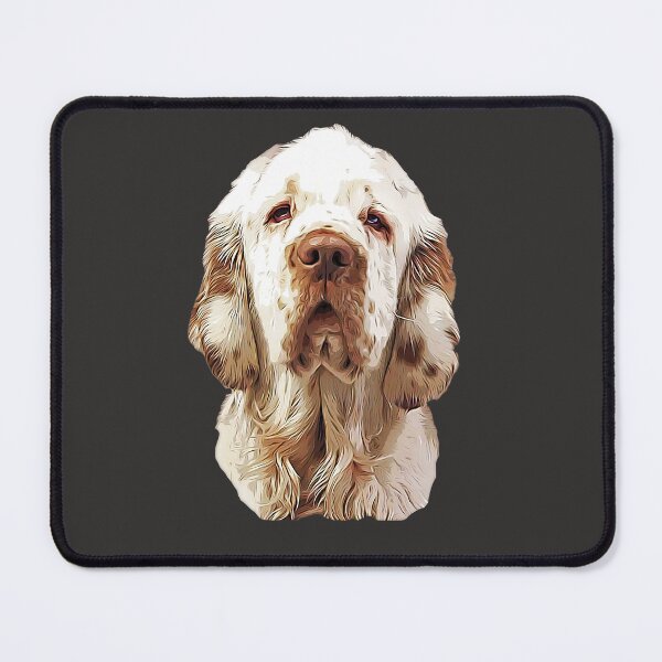 Item preview, Clumber Spaniel Looking Gorgeous! designed and sold by ElegantCat.