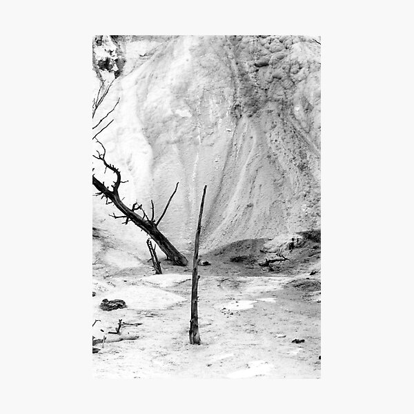 Item preview, Tree in Sulfur designed and sold by Jonathan Eggers.
