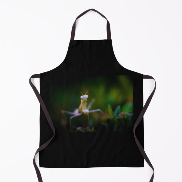 Item preview, Praying mantis designed and sold by Gaël FONTAINE.