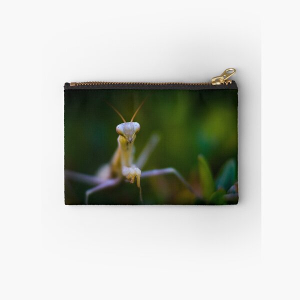 Item preview, Praying mantis designed and sold by Gaël FONTAINE.