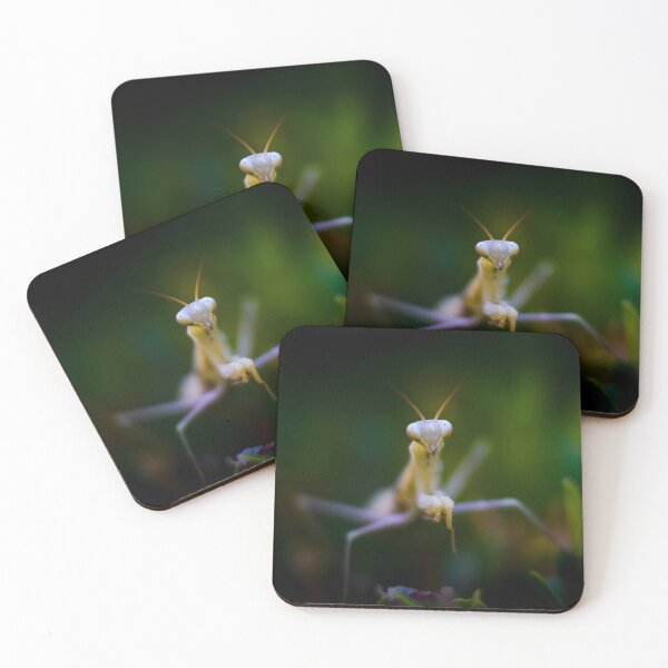 Item preview, Praying mantis designed and sold by Gaël FONTAINE.