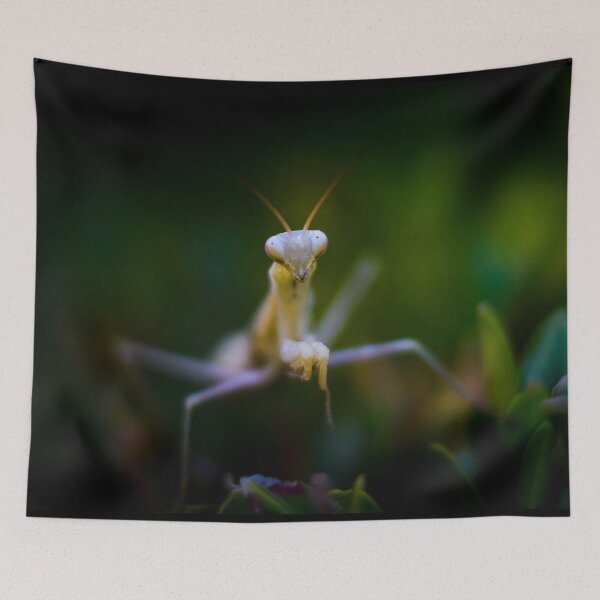 Item preview, Praying mantis designed and sold by Gaël FONTAINE.