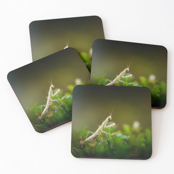 Item preview, Praying mantis designed and sold by Gaël FONTAINE.