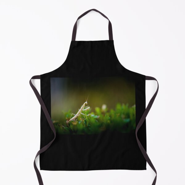 Item preview, Praying mantis designed and sold by Gaël FONTAINE.