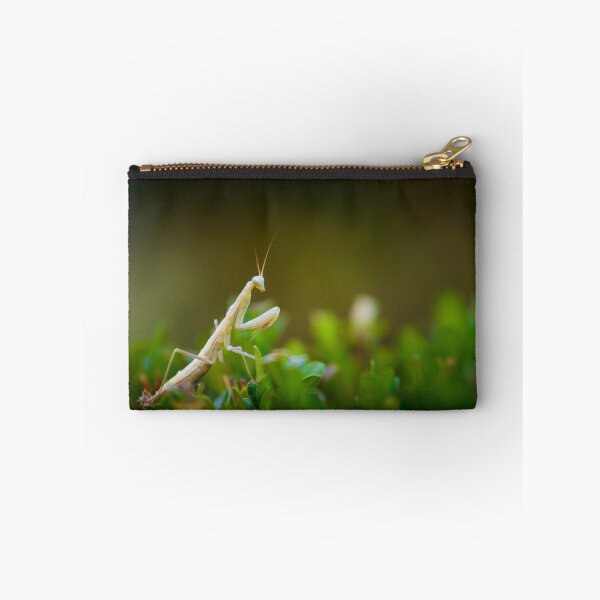 Item preview, Praying mantis designed and sold by Gaël FONTAINE.