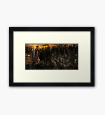 Habitat Framed Print