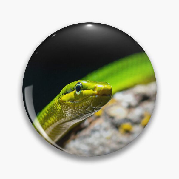 Artikelvorschau, Die grüne Pythonschlange entworfen und verkauft von Gaël FONTAINE.
