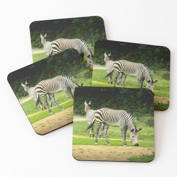 Item preview, Zebra in nature designed and sold by Gaël FONTAINE.