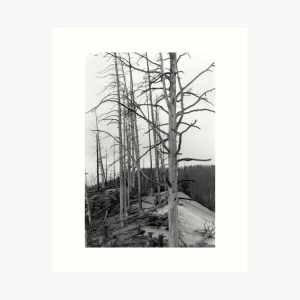 After the Fire Art Print