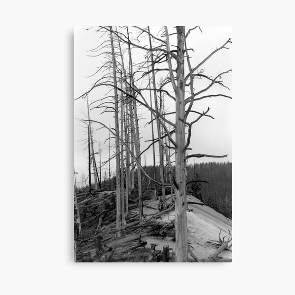 After the Fire Canvas Print