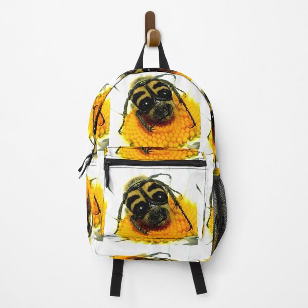 Item preview, Bee beetle (Trichius fasciatus) designed and sold by angel1.