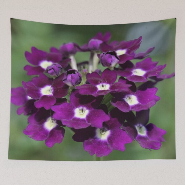 Item preview, Garden Verbena designed and sold by cuprum.