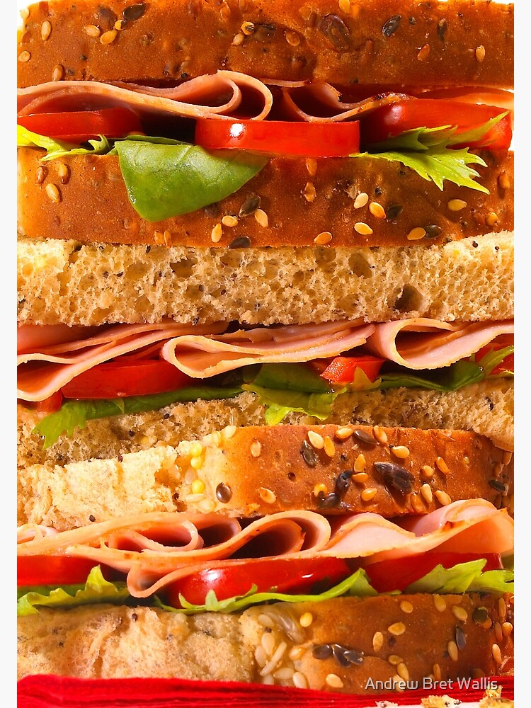 Discover Sandwich Premium Matte Vertical Poster