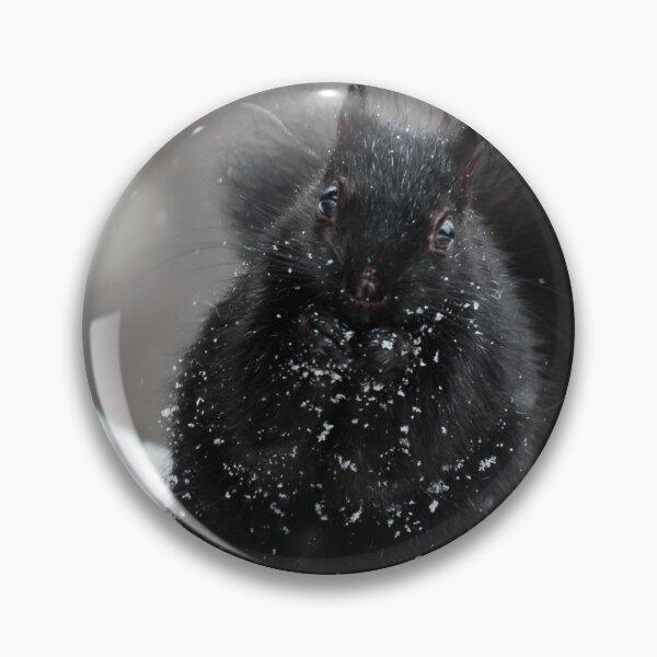 Item preview, Black Squirrel designed and sold by Lrenz.