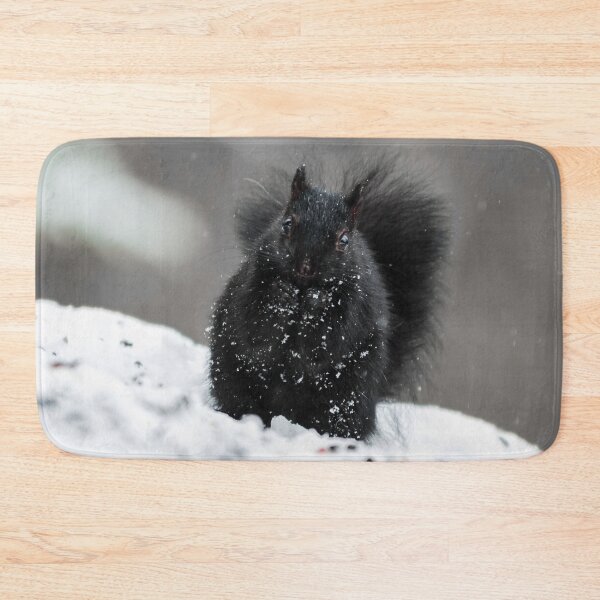 Item preview, Black Squirrel designed and sold by Lrenz.