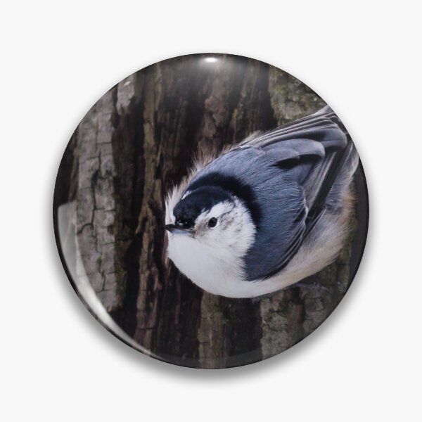 Item preview, White-Breasted Nuthatch designed and sold by Lrenz.