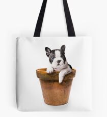 Potted Pooch Tote Bag