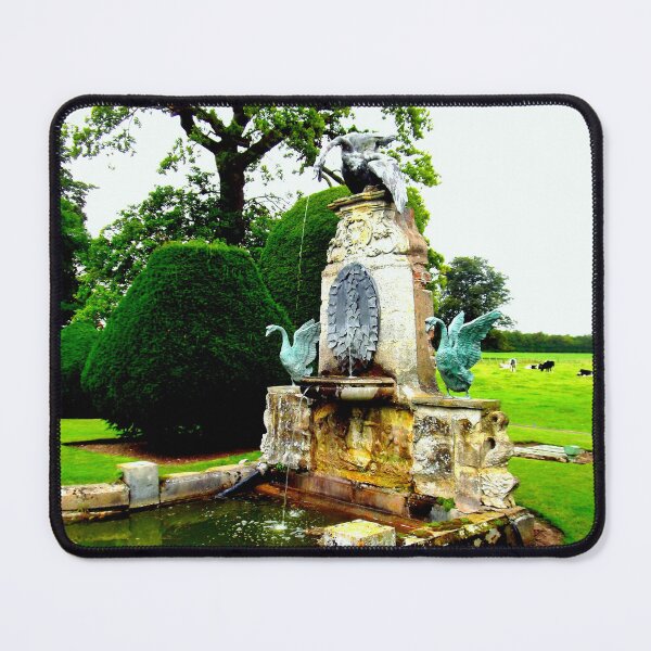 Item preview, Water Feature With Swans designed and sold by Beatrice Roberts.