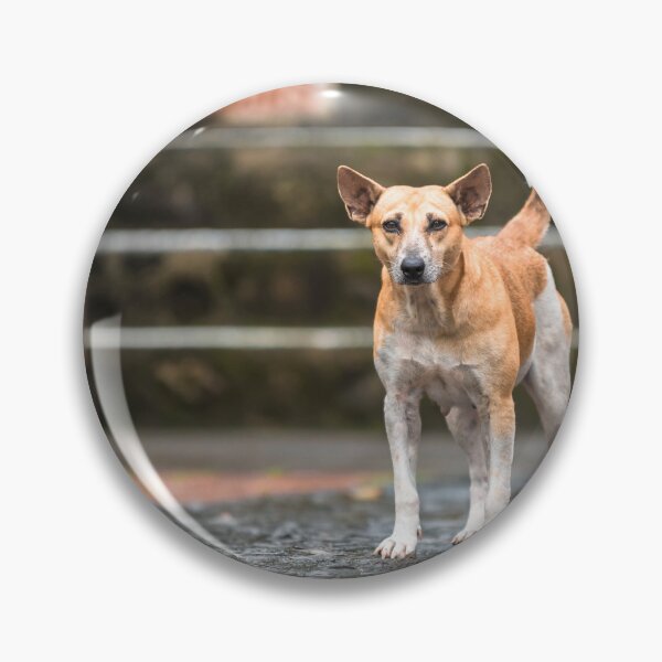 Item preview, Street Dog designed and sold by Lrenz.