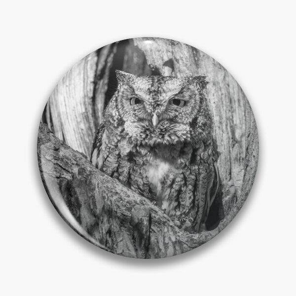 Item preview, Eastern Screech owl designed and sold by Puttaswamy Ravishankar.