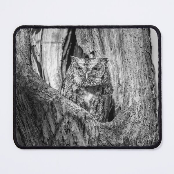 Item preview, Eastern Screech owl designed and sold by Puttaswamy Ravishankar.
