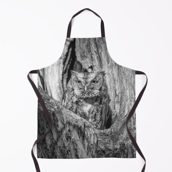 Item preview, Eastern Screech owl designed and sold by Puttaswamy Ravishankar.