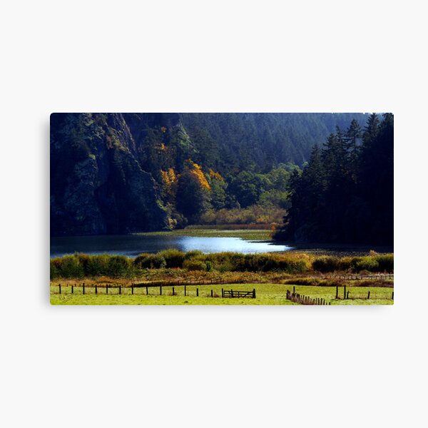 Headwaters of Lake Campbell Canvas Print