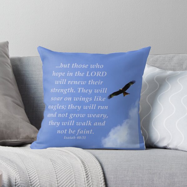 https://ih1.redbubble.net/image.460829826.9070/throwpillow,small,600x-bg,f8f8f8-c,0,120,600,600.u6.jpg