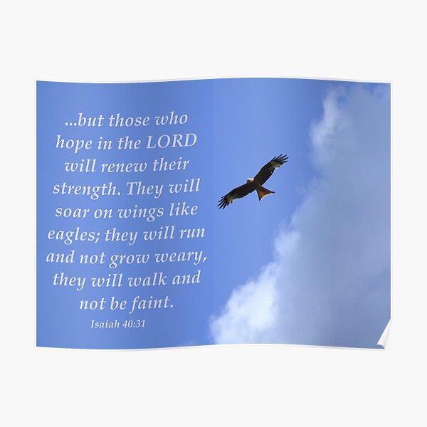 Red Kite Poster