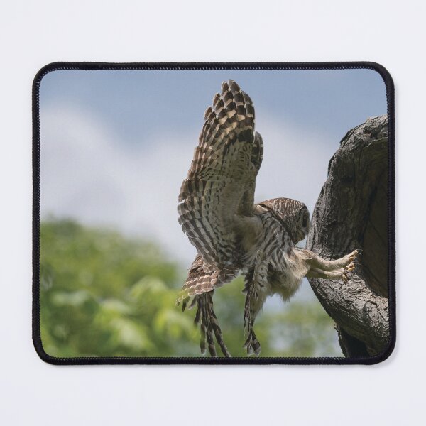 Item preview, Precision Landing designed and sold by Puttaswamy Ravishankar.