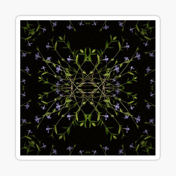 Vinca Minor III Pattern on Black Sticker