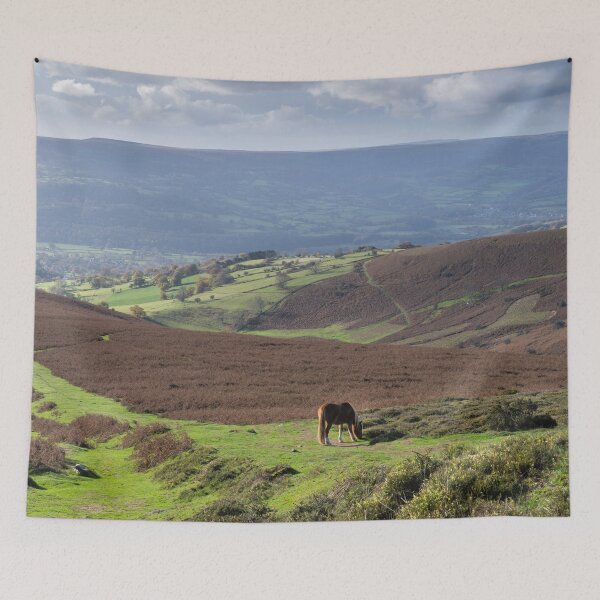 Item preview, Sugar Loaf Mountain, Wales designed and sold by andrewroland.