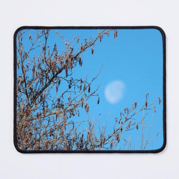 Item preview, Catkins and waxing gibbous moon designed and sold by GreyFeatherPhot.