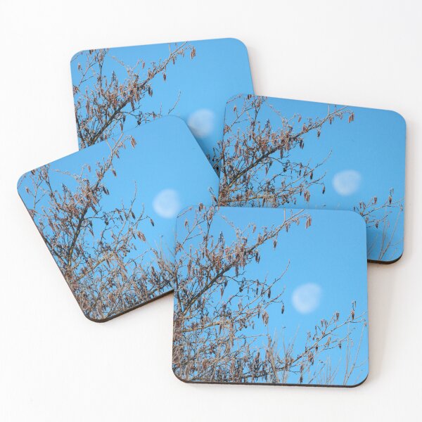 Item preview, Catkins and waxing gibbous moon designed and sold by GreyFeatherPhot.