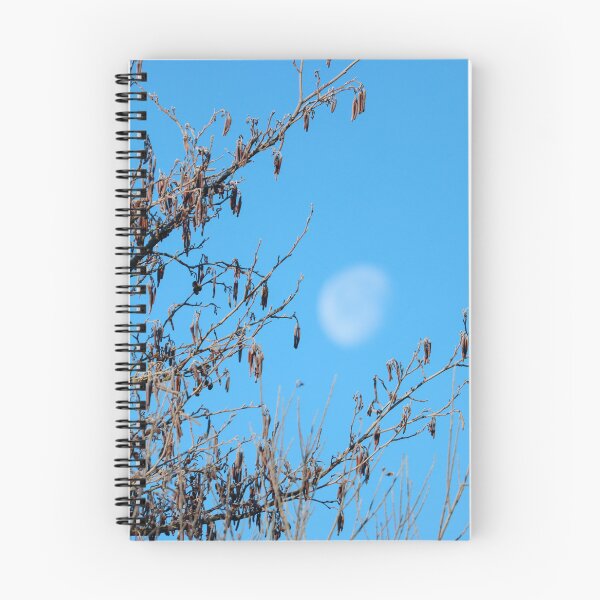 Item preview, Catkins and waxing gibbous moon designed and sold by GreyFeatherPhot.