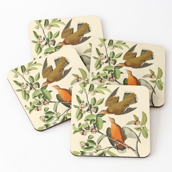 Item preview, Plate 162 Zenaida Dove - John James Audubon Art Prints designed and sold by TheSoulOfArt.