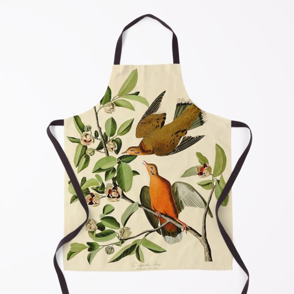 Item preview, Plate 162 Zenaida Dove - John James Audubon Art Prints designed and sold by TheSoulOfArt.