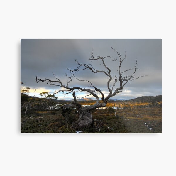 Item preview, A hard life, Overland Track, Tasmania designed and sold by tasadam.