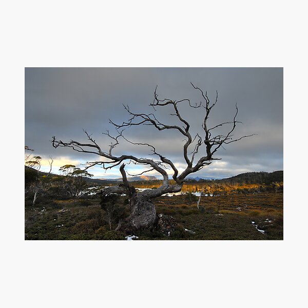 Item preview, A hard life, Overland Track, Tasmania designed and sold by tasadam.