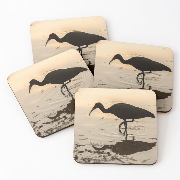 Item preview, kingfisher 2 designed and sold by Nino rocha fotografia.