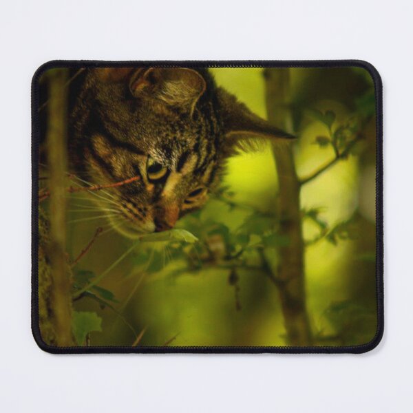 Item preview, tabby cat designed and sold by Francespoppy.