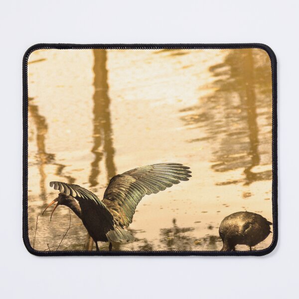 Item preview, Kingfisher 3. designed and sold by Nino rocha fotografia.